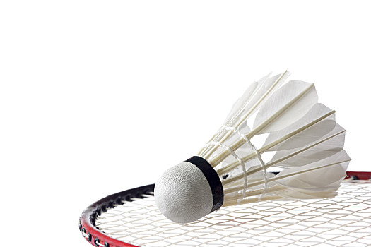 的机会显得 的机会显得