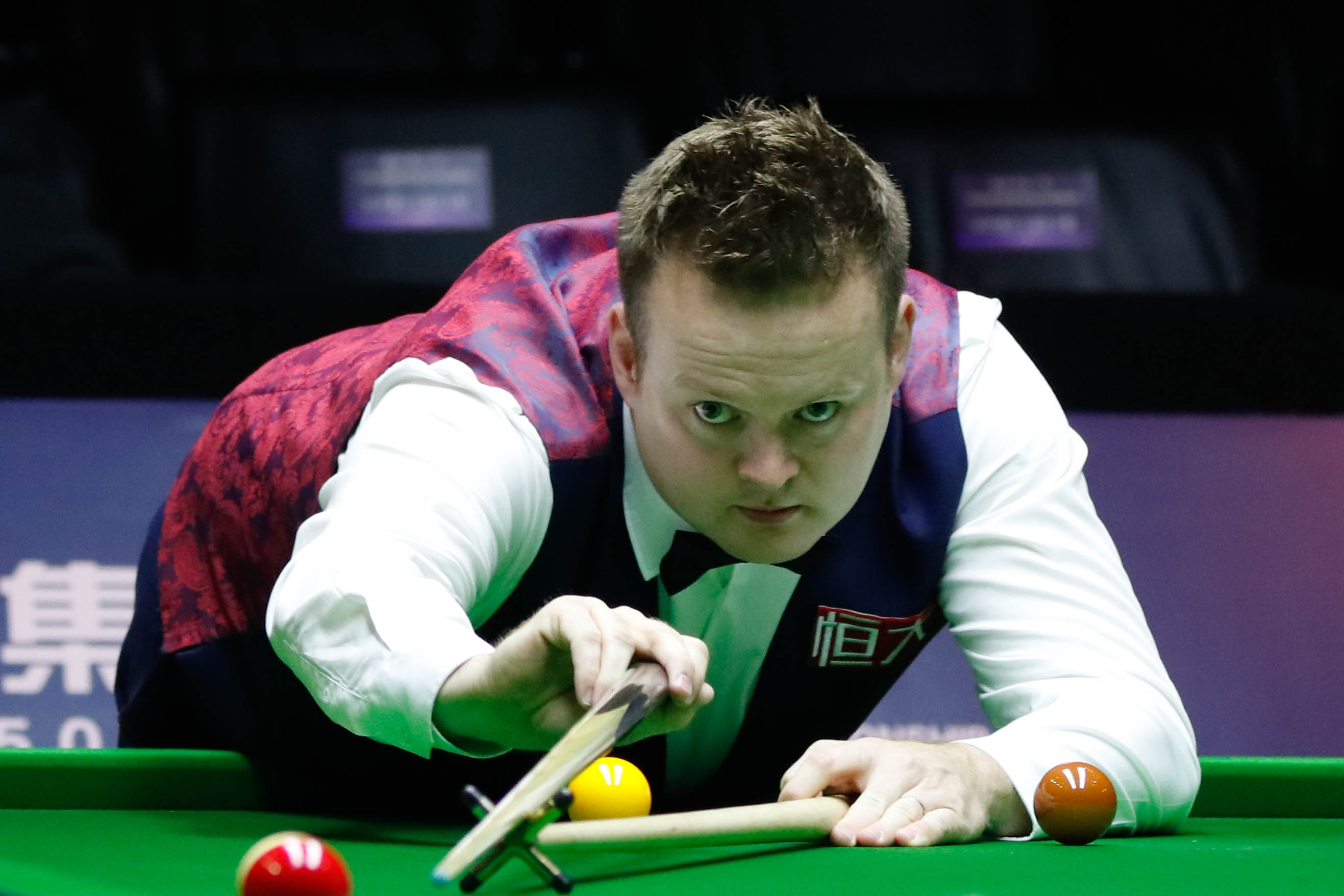 迷的陪伴 迷的陪伴